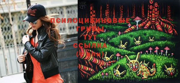 сатива Новый Уренгой