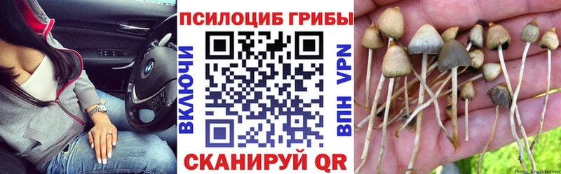 Галлюциногенные грибы прущие грибы МЕГА зеркало Севастополь где можно купить